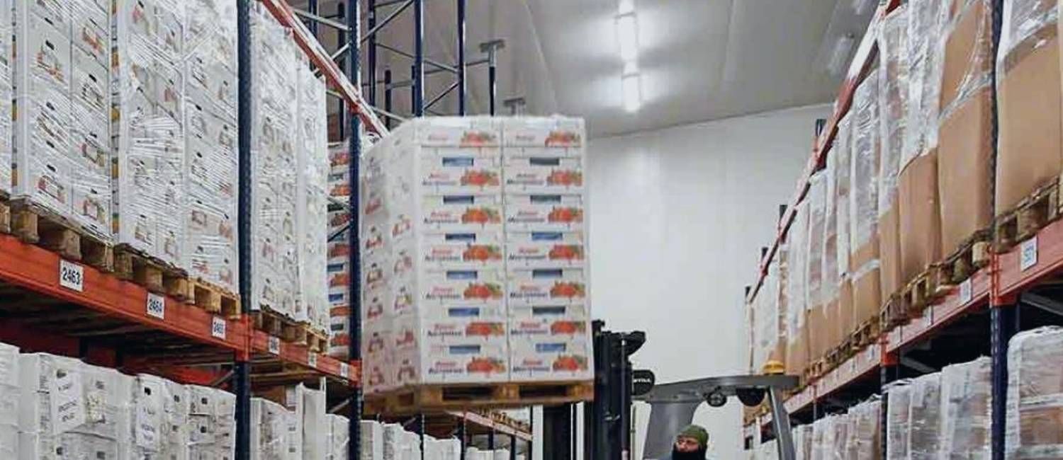 Ukrainian fields and IQF cold-chain sourcing, UAFROST