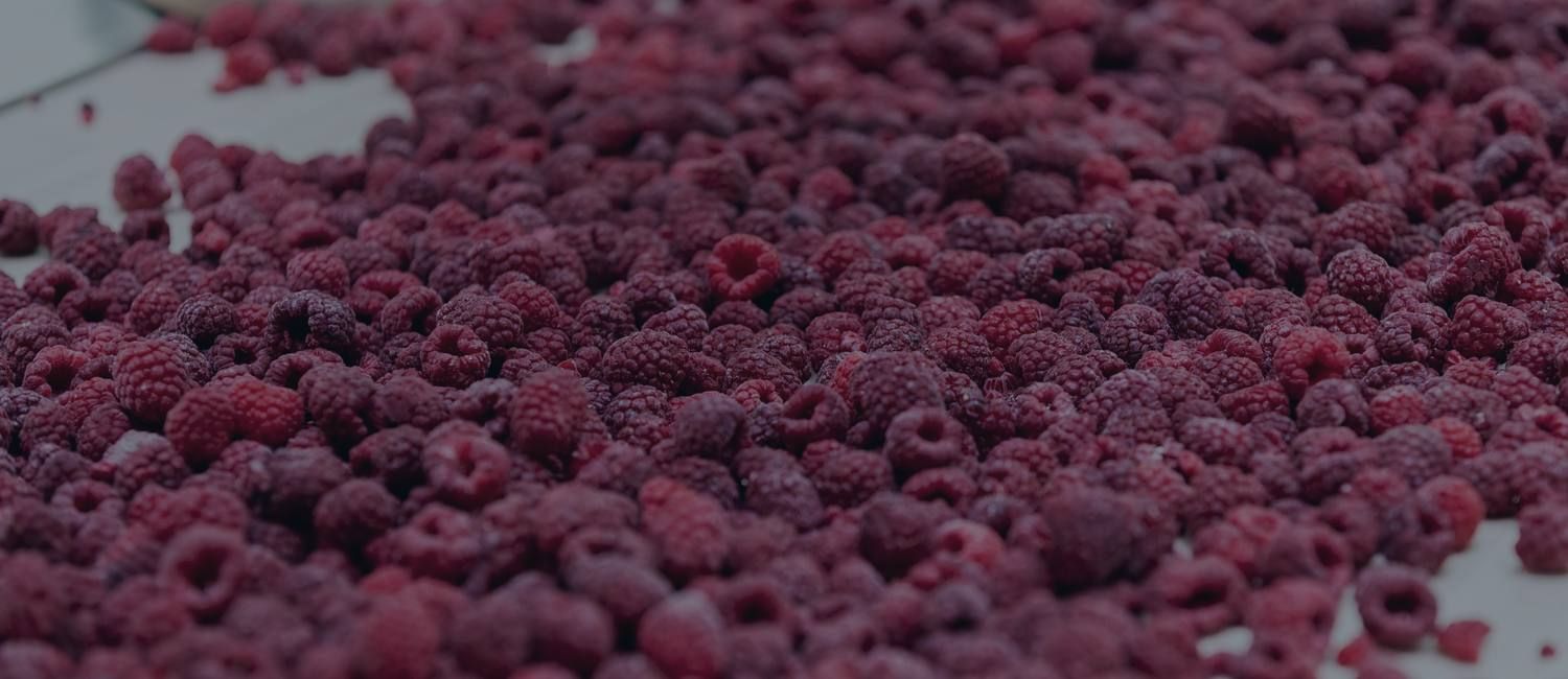 IQF frozen raspberries, Ukraine