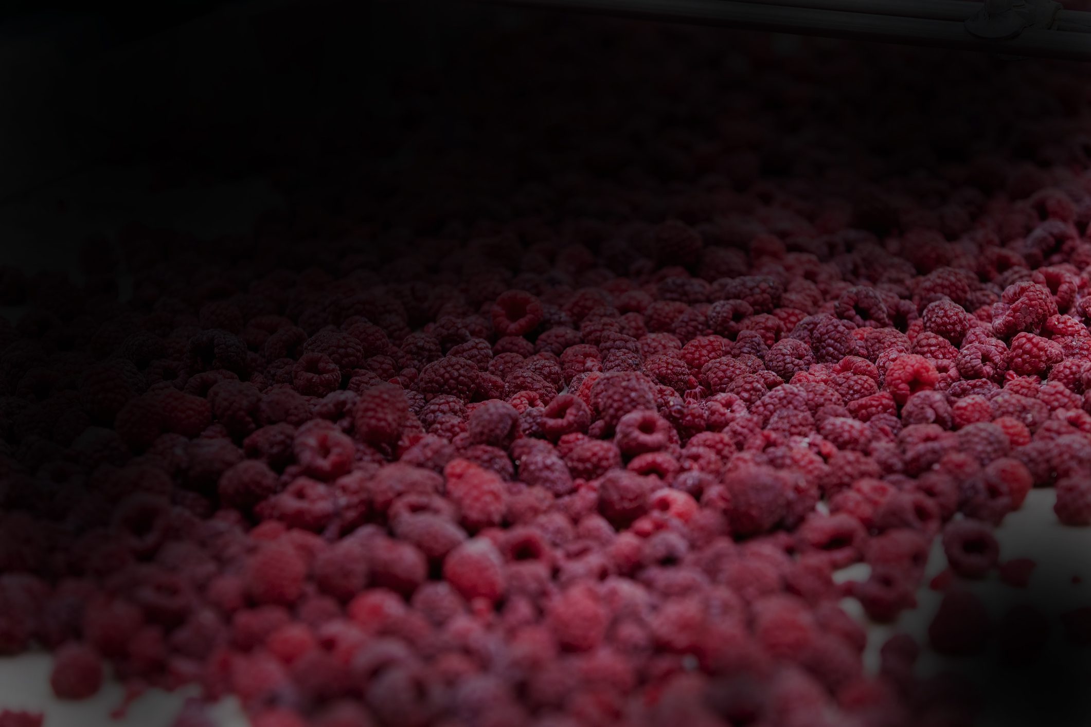 Frozen-Berries-Raspberries-from-Ukraine