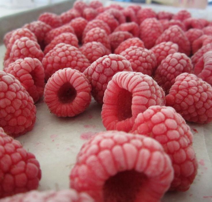 Frozen-IQF-Raspberries-Ukraine