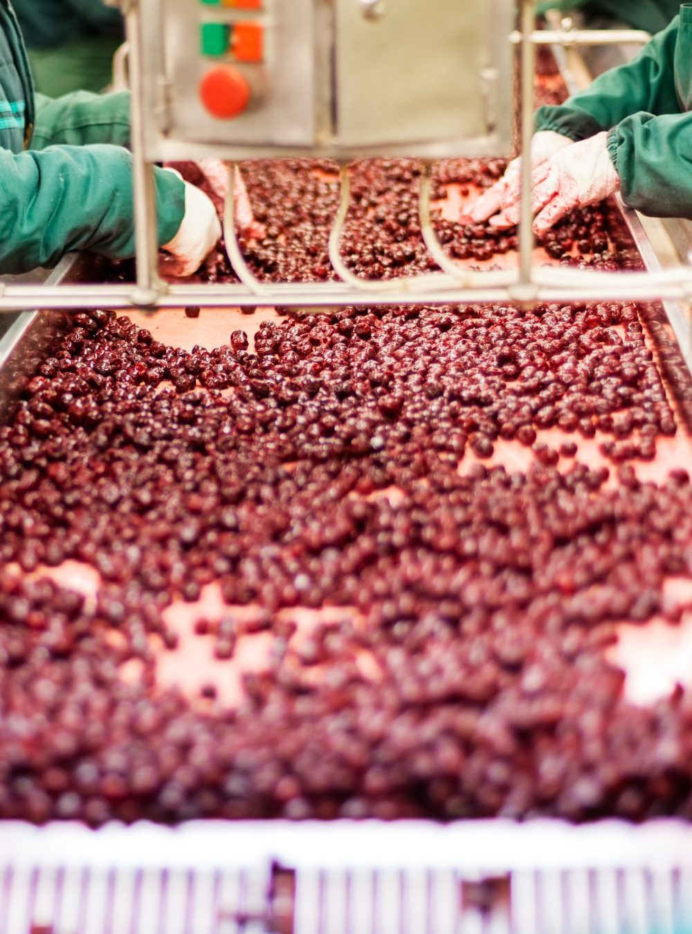 IQF-Frozen-berries-sour-cherries